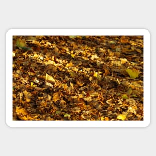 leafs carpet of gold Sticker